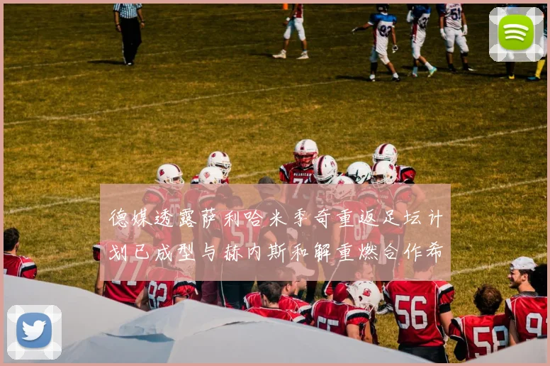 德媒透露萨利哈米季奇重返足坛计划已成型与赫内斯和解重燃合作希望
